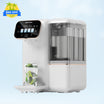 B100 Countertop RO Water Filter